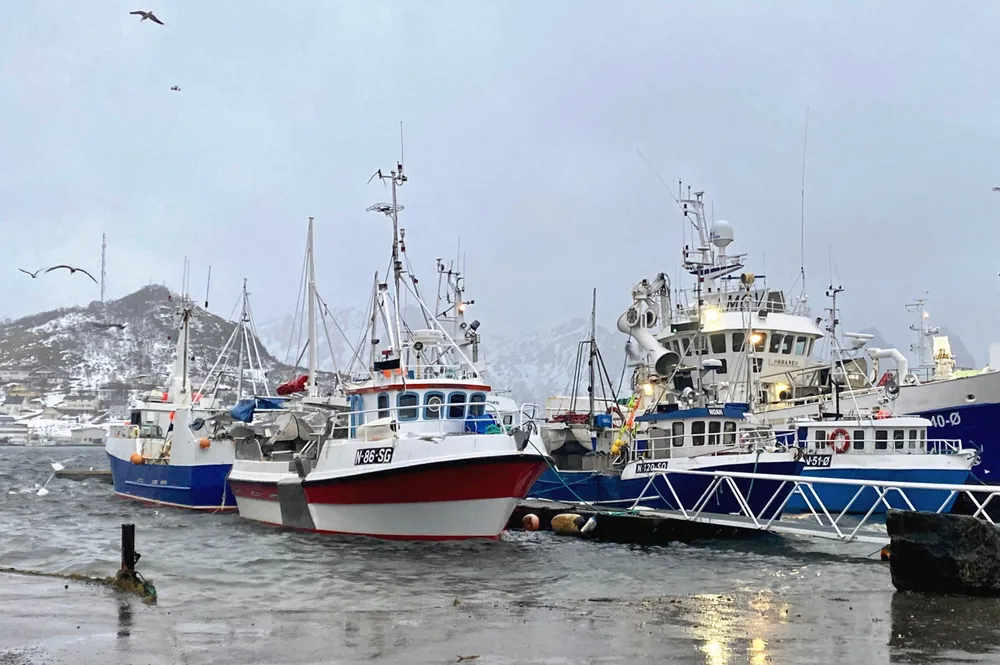 Søkere som ønsker å bruke sammenslåingsordningen må sende en egen søknad, skriver Fiskeridirektoratet.