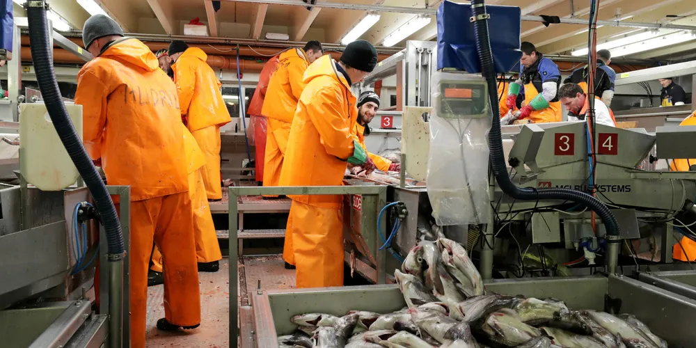 GOD ANLEDNING: Ikke alle arbeidsoppgaver trenger lang opplæringstid, mener NNN, som gjerne ser at bedriftene bruker anledningen til å få flere norske ungdommer inn i industrien.