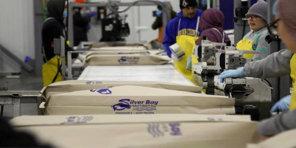 Silver Bay Seafoods and other major companies are actively seeking salmon processors this season.