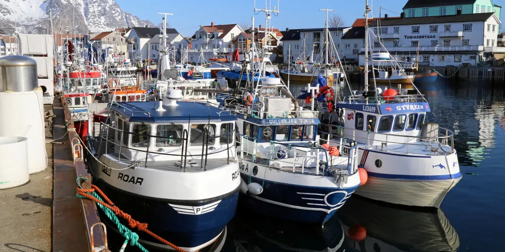 Norges Kystfiskarlag ber fiskeriministeren om å ikke gjøre endringer i kvotesystemet før den nye kvotemeldingen er ferdigstilt. Bildet er tatt i Henningsvær.