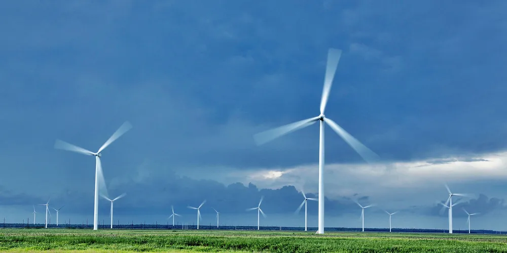 An Avangrid wind farm.