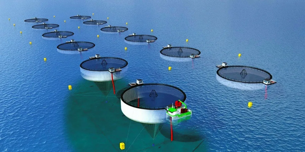 The concept "Optifarm" for Northern Lights Salmon is one of the concepts still waiting for a response from the Ministry.