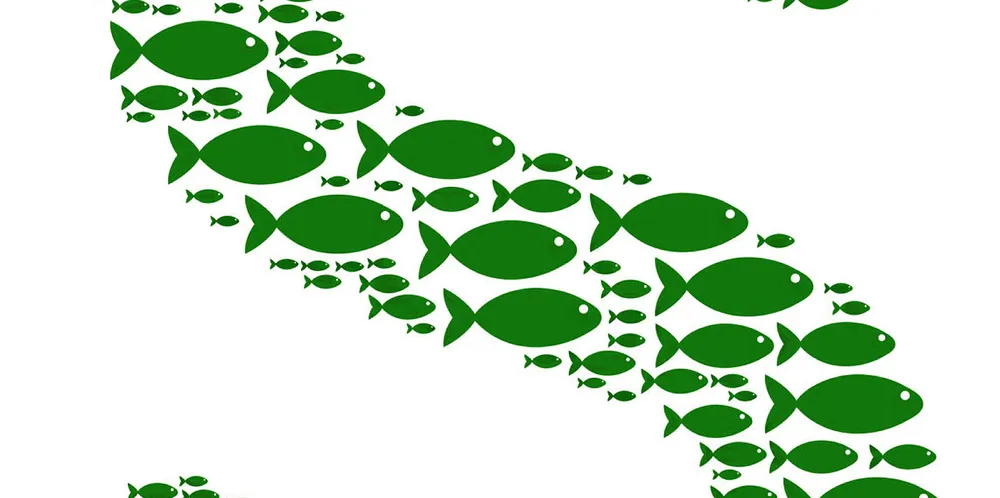 Investors warned over risks on aquaculture.