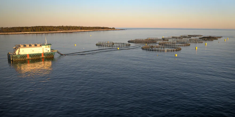 Cooke's Kelly Cove Coffin Island farm in Liverpool Bay, NS.