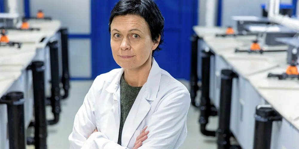 Ingunn Sommerset er fagansvarlig for fiskehelse ved Veterinærinstituttet.