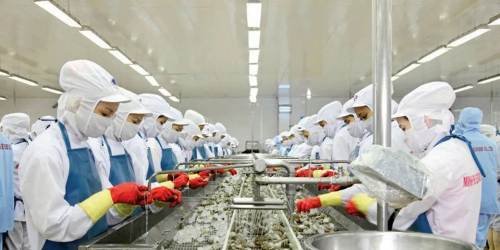 The timetable for developing a shrimp traceability program under SIMP is nearing an end.