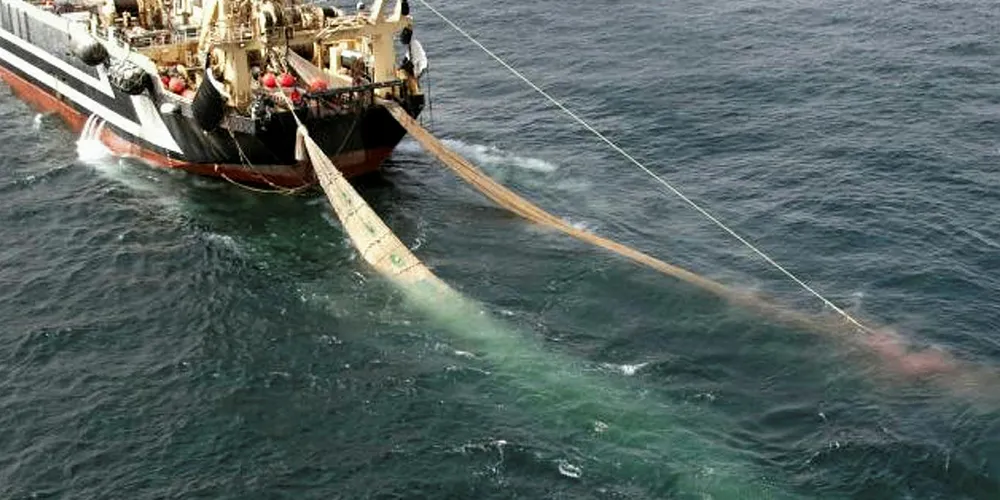 UK government calls for help to shape English fisheries post-Brexit