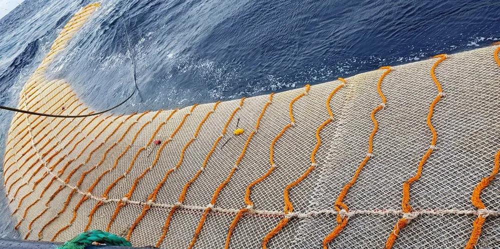 Kolmulepose fra Åkrehamn trålbøteri full av fisk. Det har vært situasjonen i hele år for den nå så verdifulle fisket for et gruppe havfiskefartøy.
