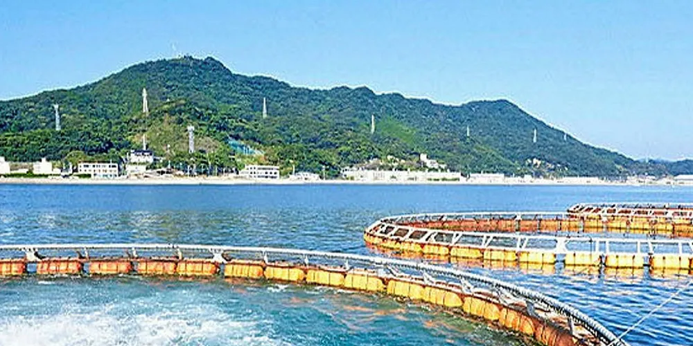 Hayashikane Sangyo produces aquafeed in Japan.