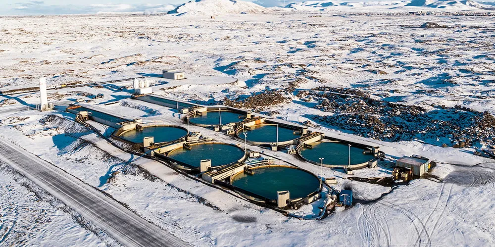 Matorka's land-based Arctic charr facility near Grindavik in Iceland.