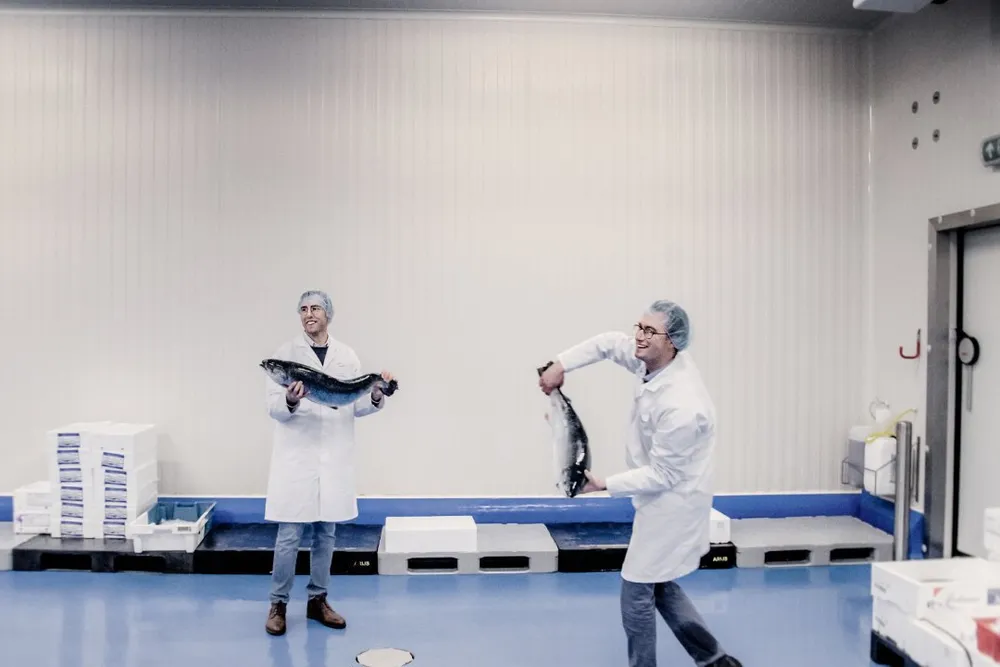 Alfa Fish, based in Brecht, in northern Belgium, is a family-owned seafood wholesaler supplying restaurants and foodservice professionals with fresh and frozen seafood.