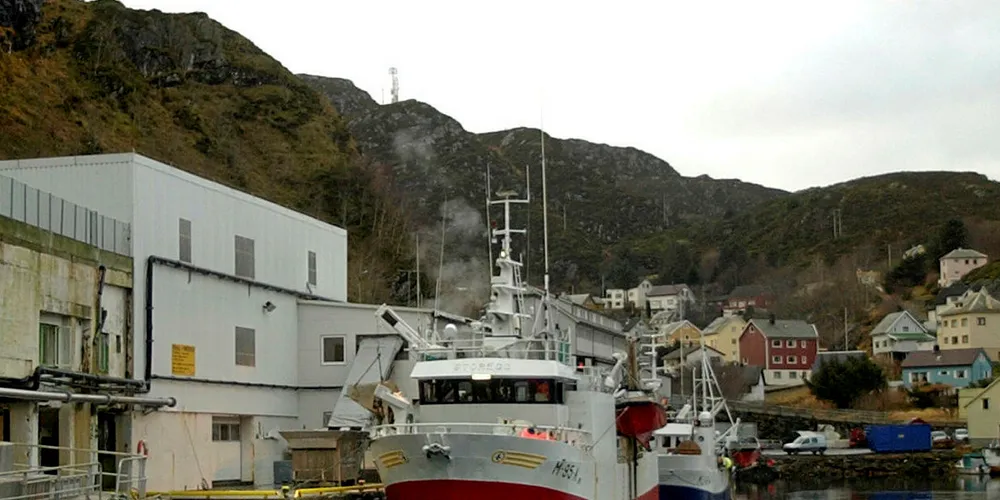 SAMLES: Fosnavåg er det naturlige midtpunktet når fiskerne på Søre Sunnmøre slag seg sammen i et felles fiskarlag.