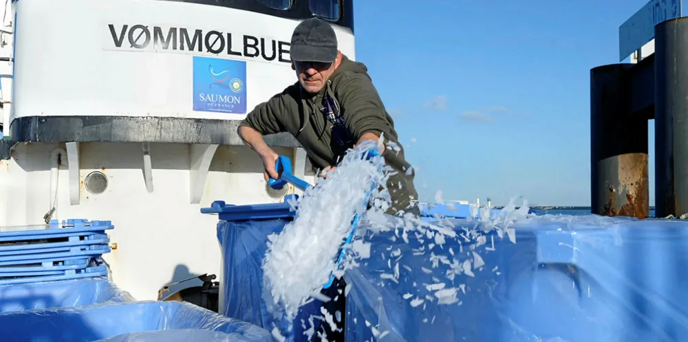 Saumon de France harvesting fish.