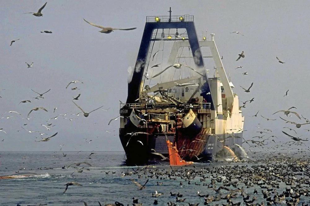 A group of plaintiffs are asking a higher US court to review a recent lawsuit over how the Alaska pollock quota is determined.
