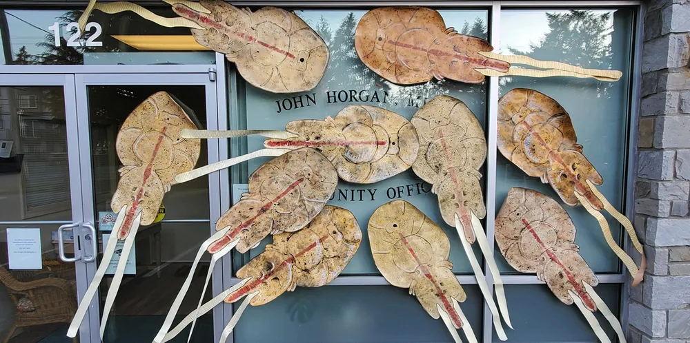 Watershed Watch "infests" Premier John Horgan's office with sea lice in a plea to remove salmon farms in British Columbia.