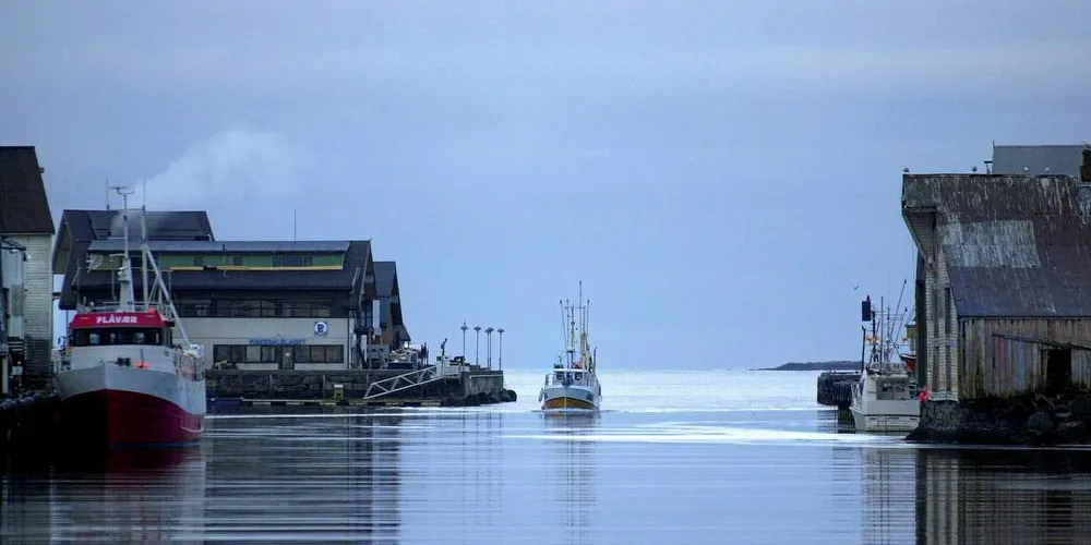 STILLE: Det har ikke vært mye action på fiskefeltene i år for makrelldorgerne. Seismikkskyting får skylden for det.