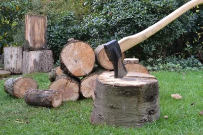 Cutting jobs: Royal IHC