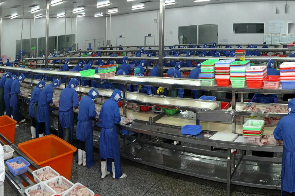 Baiyang is China's largest tilapia producer, with feed, farming, processing and distribution operations.