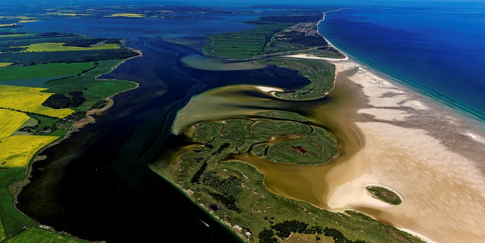 Darss, Island of kleine Werder, Mecklenburg-Western Pomerania, Germany.