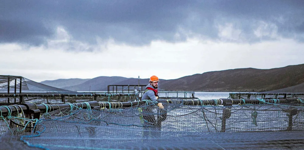 Grieg Seafood forbereder seg på et kraftig fall i driftsresultatet for tredje kvartal. Her fra en lokalitet på Shetland.