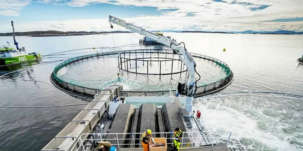 SKATT: - Vi har gjentatte ganger argumentert for en moderat særskatt på havbruk med en mer nøytral utforming, skriver professorene Bård Misund, Petter Osmundsen og Ragnar Tveterås ved Universitetet i Stavanger, i et felles debattinnlegg.Foto: Midt-Norsk Havbruk