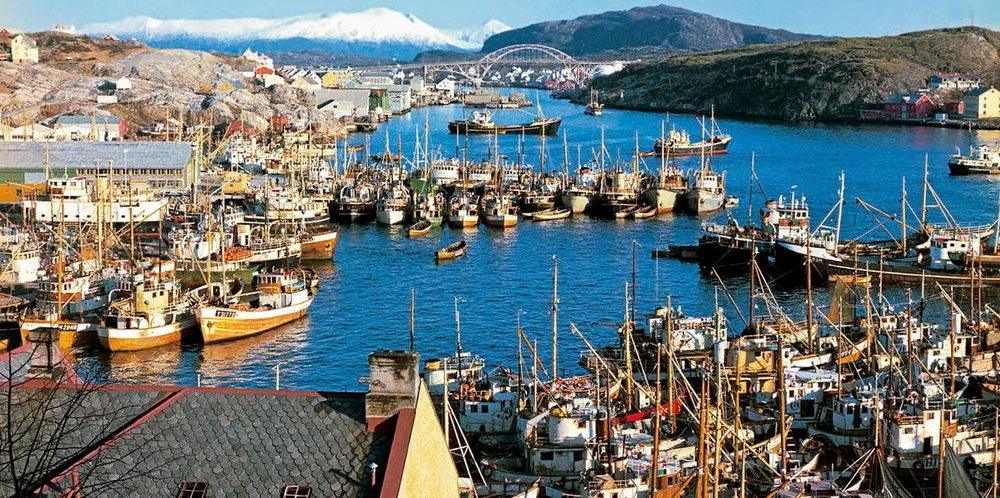 Slik så havna i Kristiansund ut i 1964, da det lå mange fiskebåter inne i et svært rikt sildefiske.