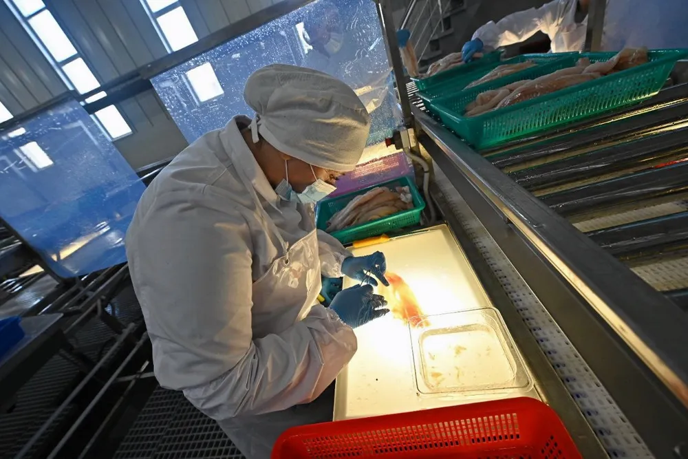 Russian fishing companies are hoping to persuade the government to buy more of their pollock.