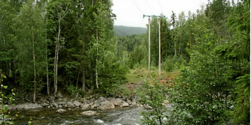 Her er kraftstasjonsområde fra konsesjonssøknaden for Husvollåe kraftverk i Tinn kommune.