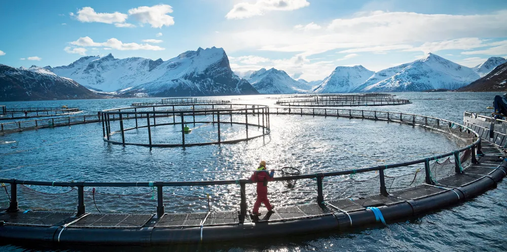 Den foreslåtte skatten skaper enorme vridningsinsentiver næringen hittil har vært spart for, skriver Jon Gunnar Pedersen finansiell rådgiver.