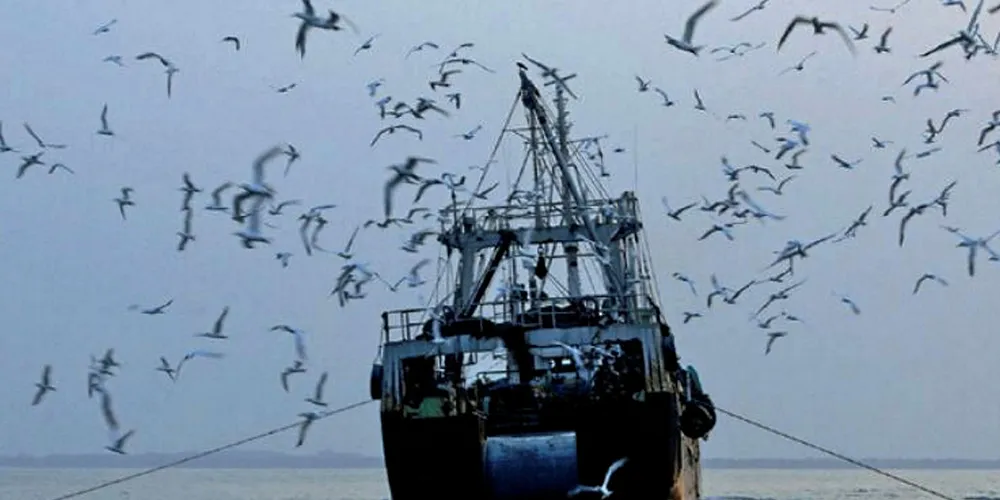EJF report on Ghana's fishing industry is damming.
