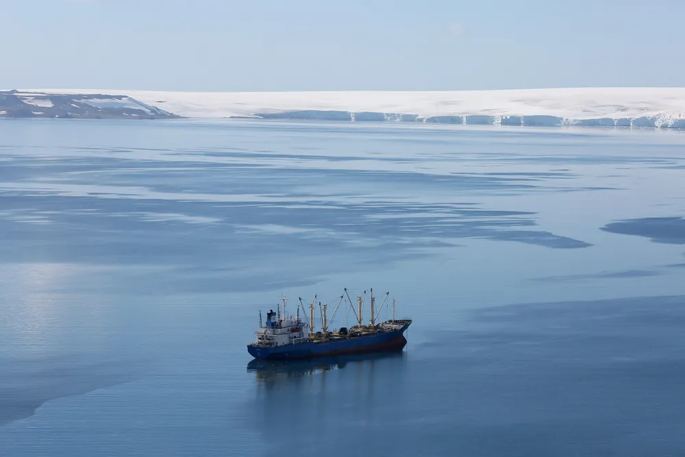 Aker Biomarine har slitt med krillfangsten det siste kvartalet.