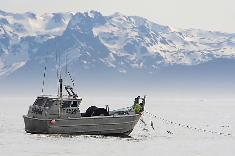 Fishing has been slow so far on the Copper River.