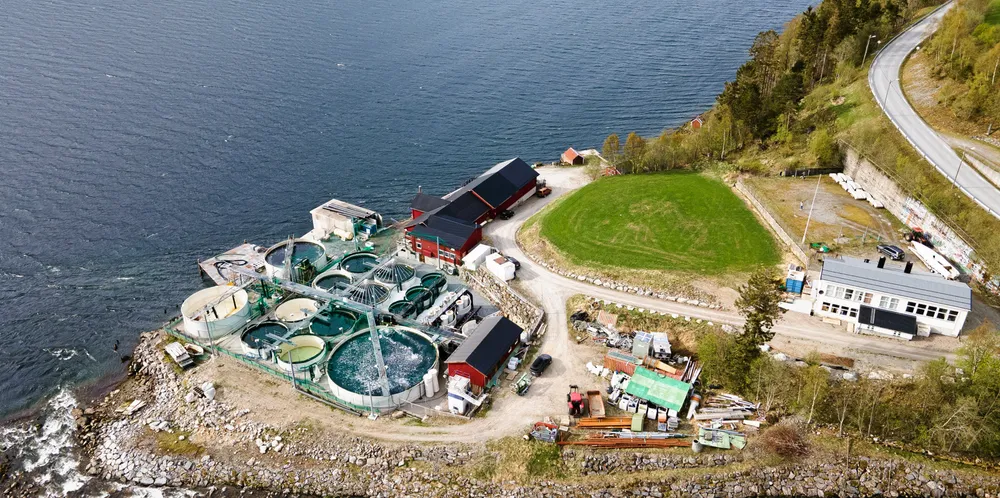 Salmon Evolution satte i slutten av mars sin første laksesmolt i landbasertanlegget sitt ved Indre Harøy i Møre og Romsdal