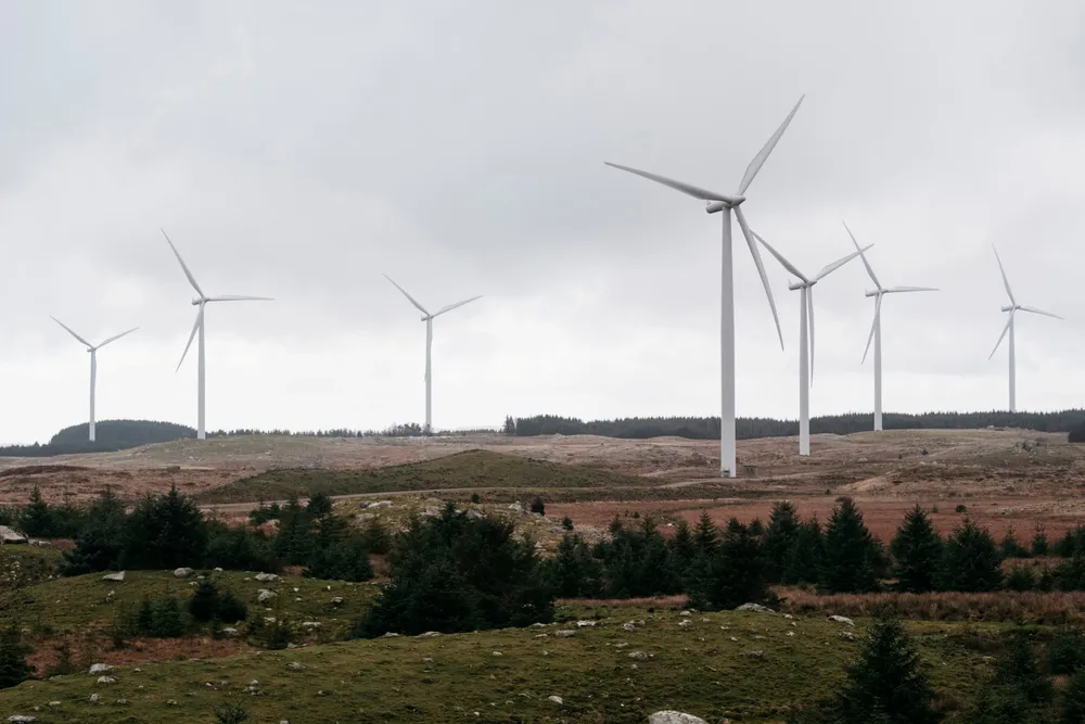 Vindkraft på land ble lønnsomt uten subsidier først i 2019, skriver Jonas Algers.