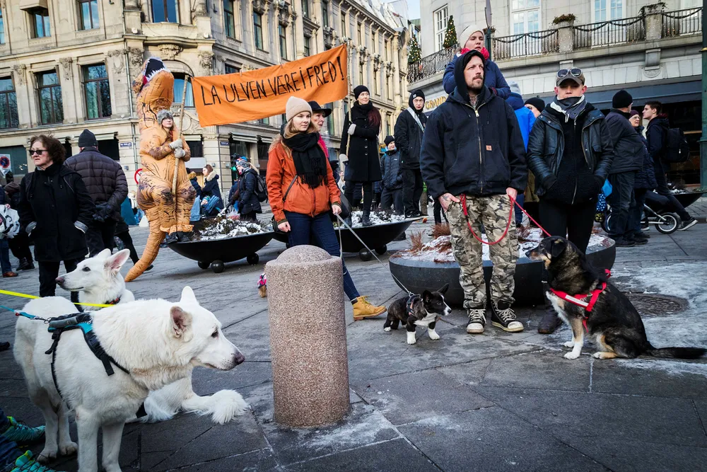 Turtøyprodusenten Stormberg svarer på trusler om boikott fra ulvemotstandere med å gi pengestøtte til tilhengerne av ulv. Her fra en demonstrasjon i helgen foran Stortinget for bevaring av ulv og andre rovdyr.