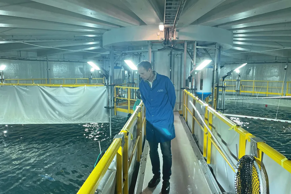 Salmon Evolution CEO Trond Hakon Schaug-Pettersen