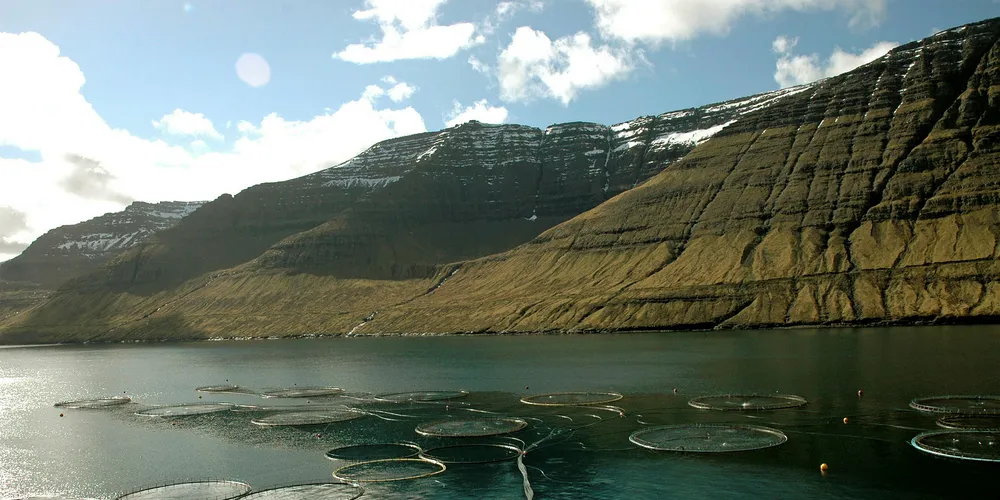 A Bakkafrost salmon farm.