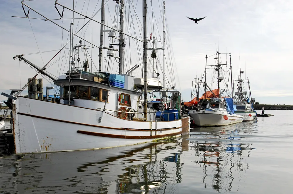 Alaska trollers have one a victory in their battle with NGOs over protections for killer whales.