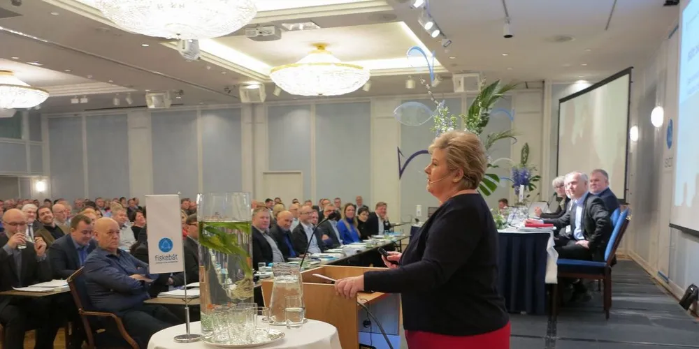 Foto: Nils Torsvik