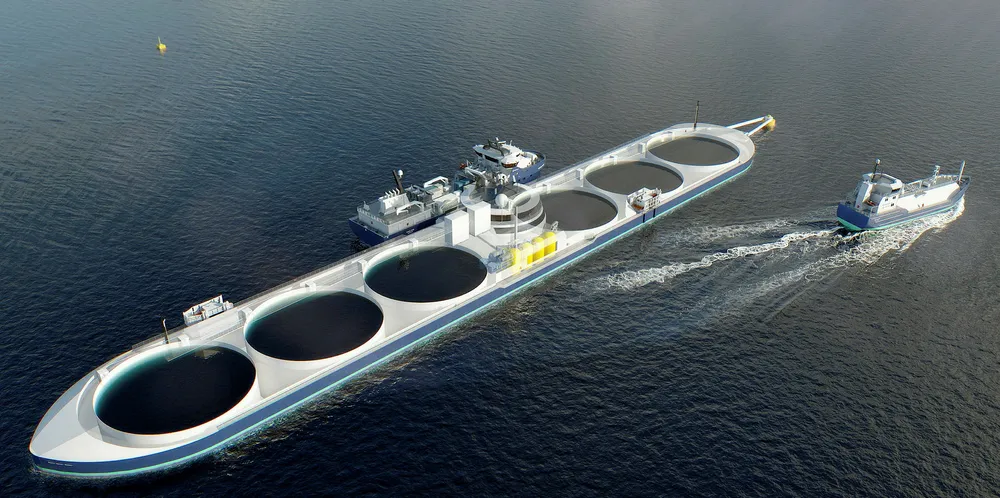Illustrasjon av konseptet «Eidsfjord Giant». Den er planlagt til å være 270 meter lang og 45 meter bred.