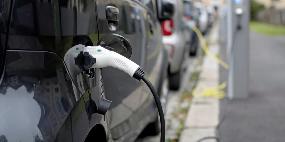 Bee Charging Solutions har allerede rundt 2000 ladepunkter i Sverige og en markedsandel på 15-20 prosent.