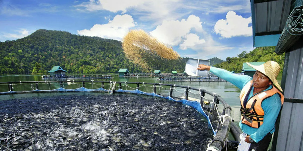 The Fishin' Company sponsored 34 farms in China to apply for BAP certification.