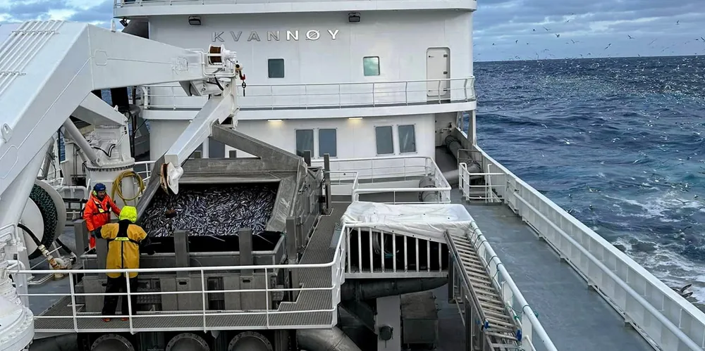 Det er god fart på kolmulefiske. Her er «Kvannøy» på vei med en fangst.