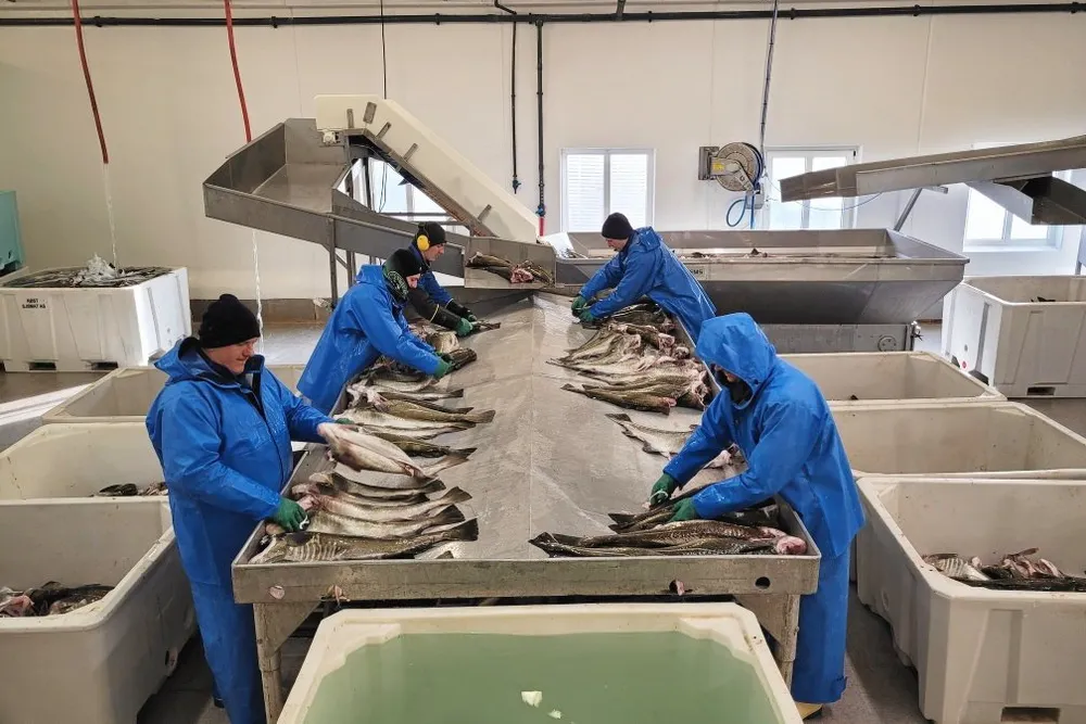 Under skreisesongen var det flere som jobbet mer enn de skulle på Røst Sjømat. Reglene må mykes opp slik at flere jobber kan skapes og det tas høyde for at naturen ikke kan reguleres med klokke, mener Fiskeribladet.