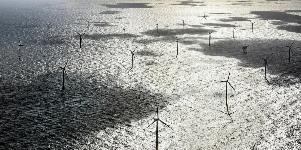 Dong's Borkum Riffgrund 1 in the North Sea. Borkum Riffgrund West will be subsidy-free. Pic: PAUL-LANGROCK.de