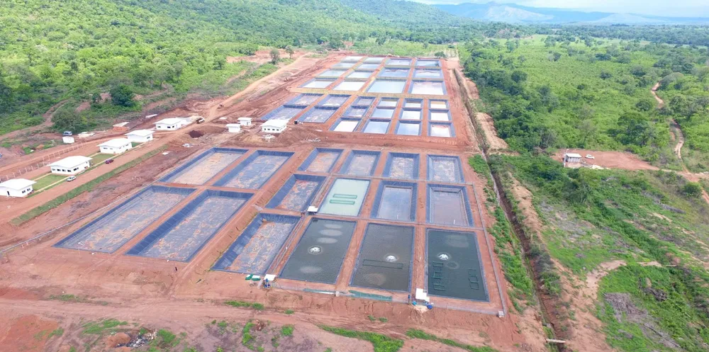 Genomar Tocantins new breeding center in Brazil will open in early 2022.