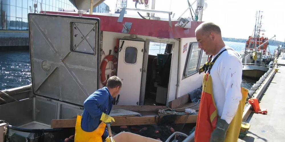 Fiskeridirektoratet vil gjøre det enklere for fiskerne å selge fisk direkte til restauranter og grossister. Ill.foto: Roy Harbakk