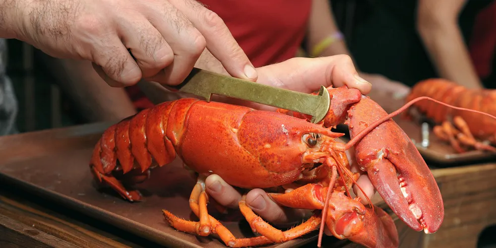 The marketing agency is looking to base its efforts beyond hard-shell lobster.
