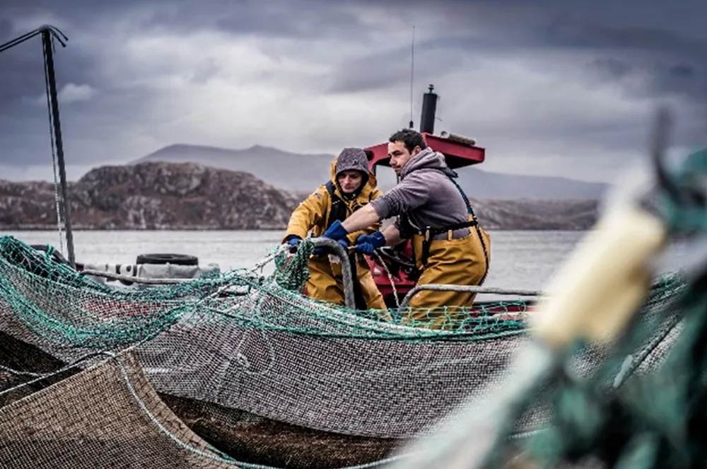Loch Duart, which produces around 6,000 metric tons a year from its farms in northwest Scotland, is owned by US investment company Vision Ridge Partners.