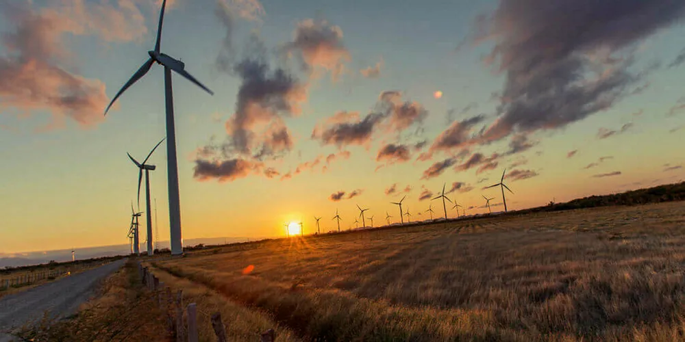 One of Grupo Mexico's wind farm in Mexico